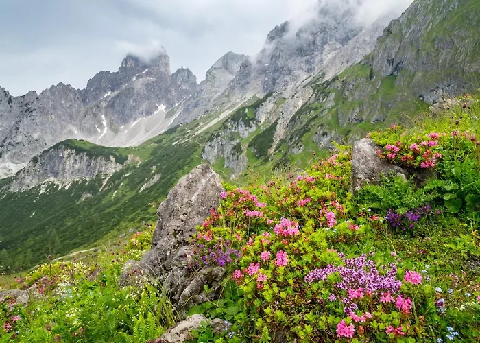 Gasthuis Gaestehaus Herrmann Filzmoos